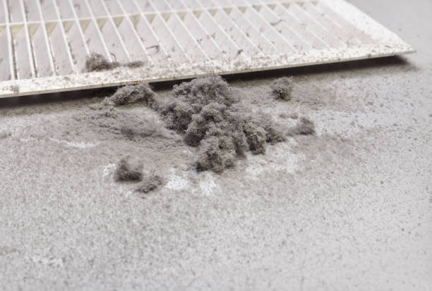 Best Ventilation Cleaning Services  in Victoria, VA