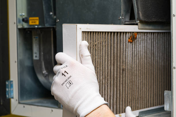 Best Affordable Duct Cleaning Services  in Victoria, VA